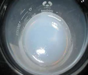 OPCG12-40 (12V-40A) 小型制御弁式鉛蓄電池 GEL AGMディープサイクル