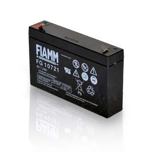 FG10721 FIAMM 製