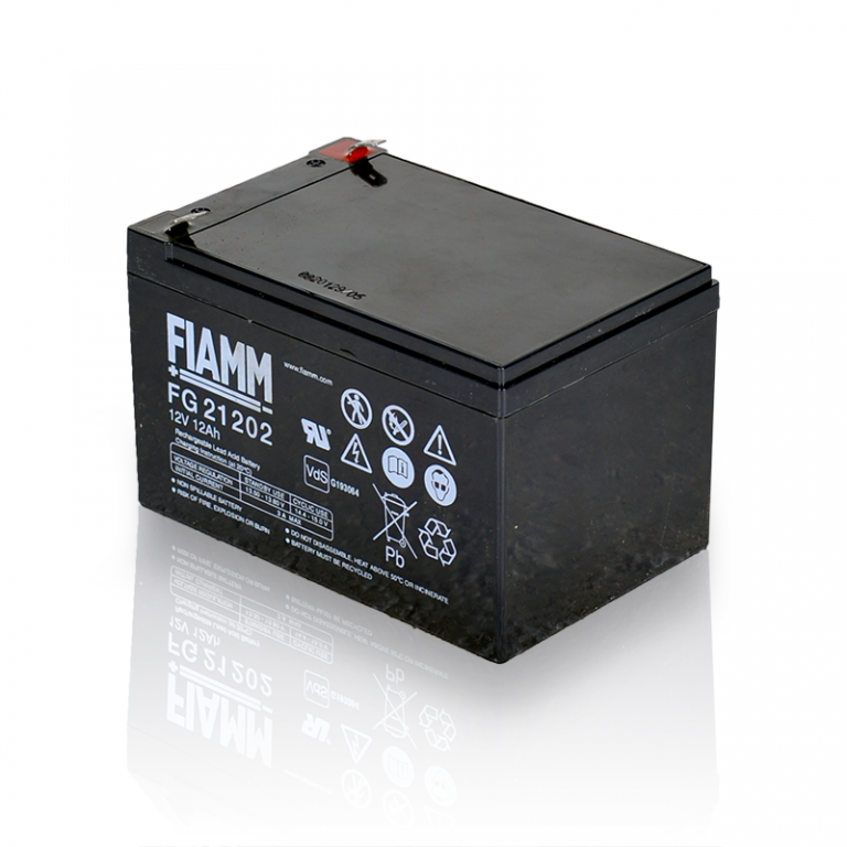 FG21202 FIAMM 社製