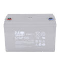 12SP100 FIAMM 製