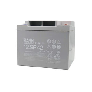 12SP42  FIAMM 製